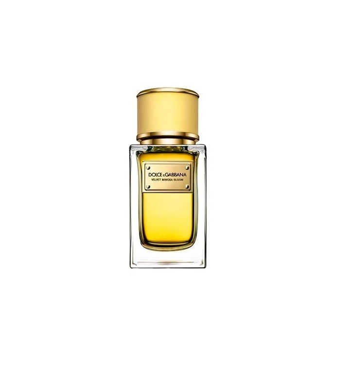 comprar perfumes de lujo DOLCE & GABBANA VELVET MIMOSA BLOOM