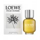 LOEWE POUR HOMME EDT 100 ML