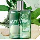 HERMES H24 HERBES VIVES EDP 50 ML VP