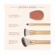 ECOTOOLS PRECIOUS METALS SET 5 BROCHAS + ESPONJA