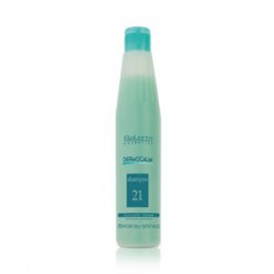 SALERM CHAMPU DERMOCALMANTE 250 ML