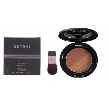 SENSAI CHEEK BLUSH COLOR CH04